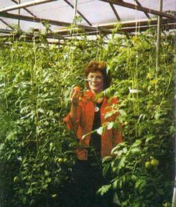 Raise Greenhouse Vegetables as Cash Crops Image